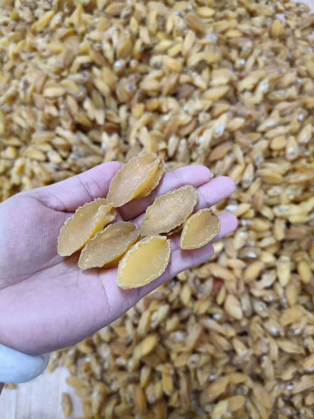 營養豐富，源頭直供——昌升新鮮金絲鮑魚與海味干貨批發