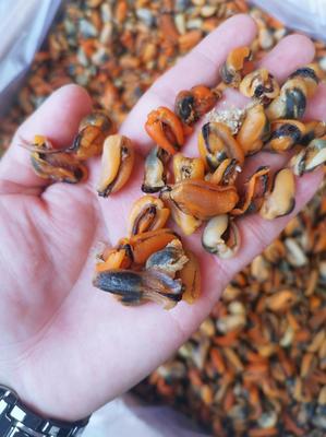 廣東廣州荔灣區貽貝批發 優質淡菜干，25.00元/斤實惠海味