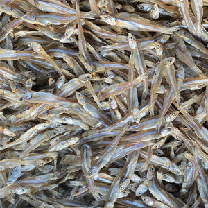 北海銀魚仔 鮮美海味，干貨之選——最新批發(fā)報價與市場指南