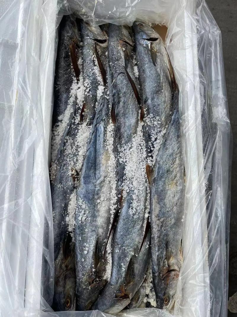專業海味干貨批發 品質之選，放心之源