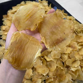 深海臻品，滋補圣味 嘴鳘魚膠與紅雞赤的味蕾饕宴